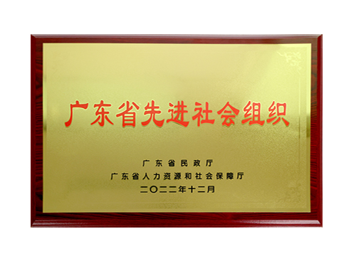 2022年10月“广东省先进社会组织”牌匾